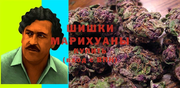 индика Белокуриха