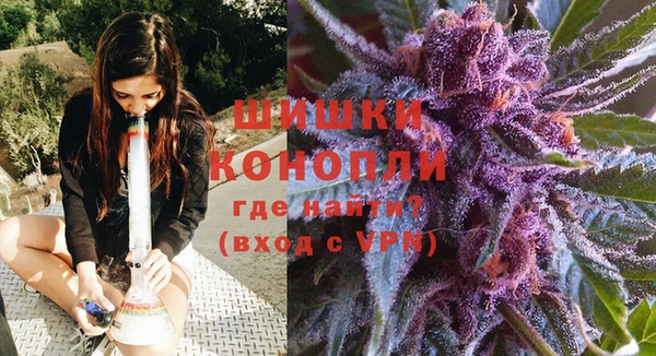 стаф Богданович