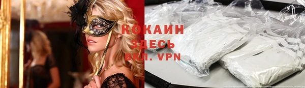 индика Белокуриха