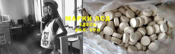 индика Белокуриха