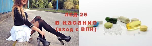 стаф Богданович