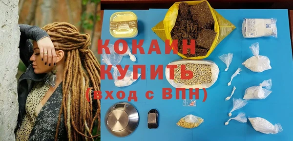 индика Белокуриха