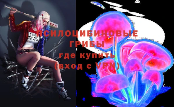 индика Белокуриха