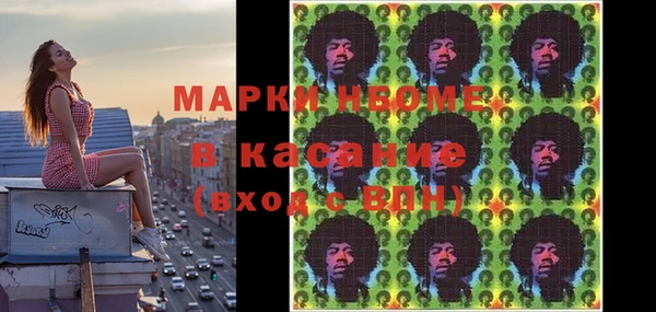 индика Белокуриха