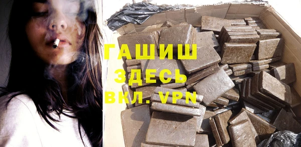 индика Белокуриха