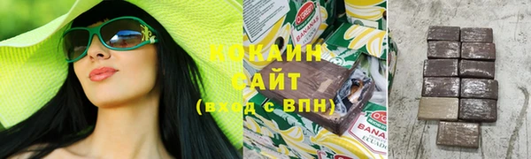 соль ск Бородино