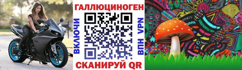 Псилоцибиновые грибы мухоморы Благодарный